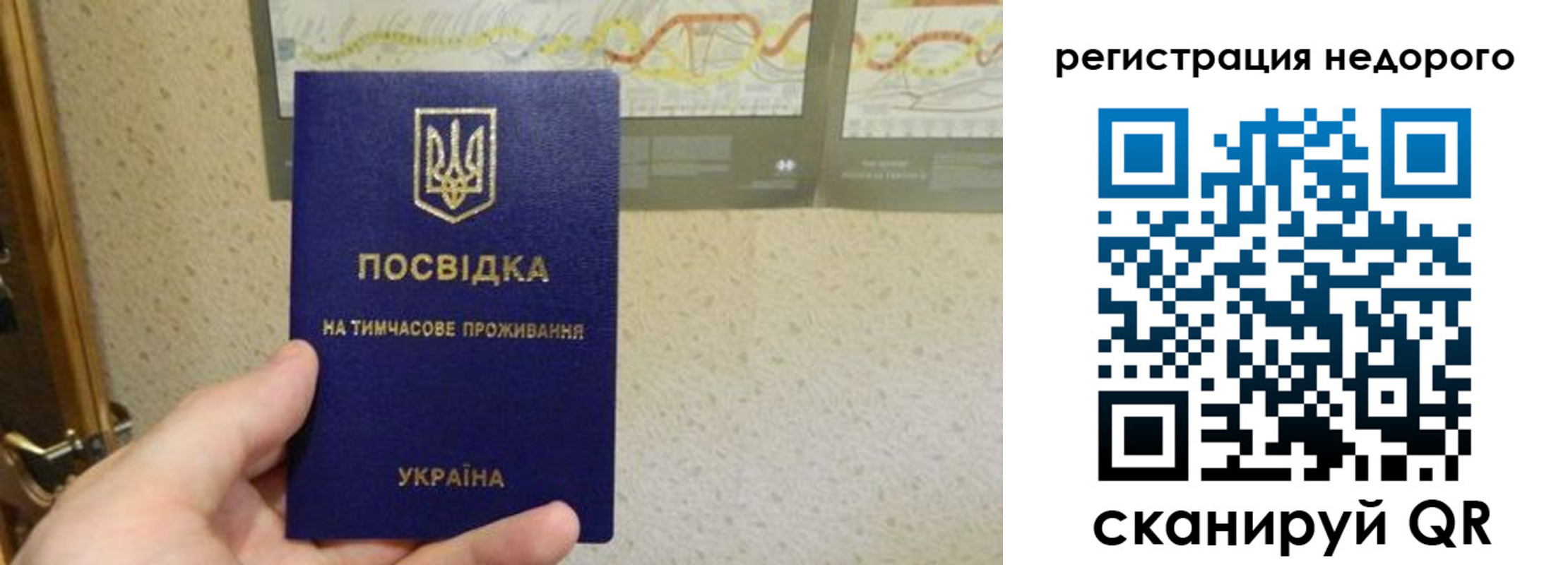 прописка для работы в Камызяке